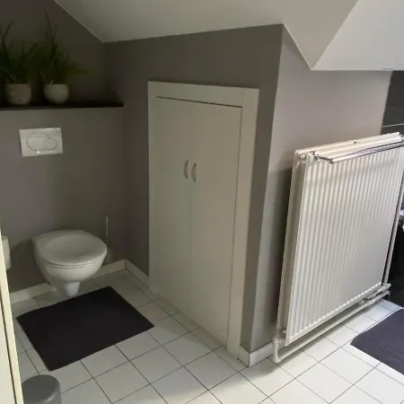 Vakantiewoning Het Wielje Maasland