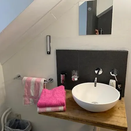 Vakantiewoning Het Wielje Maasland * Kinrooi