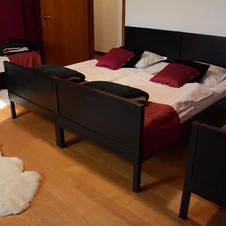 Vakantiewoning Het Wielje Maasland Kinrooi