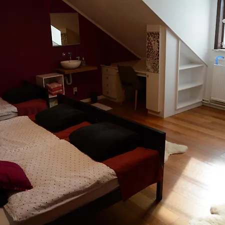 Vakantiewoning Het Wielje Maasland 別荘 *